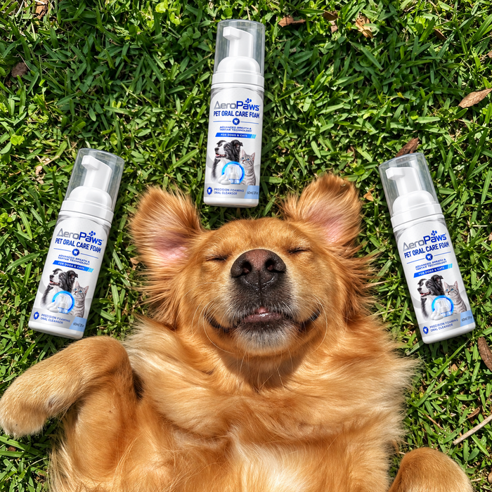 Three bottles and a happy golden retriever