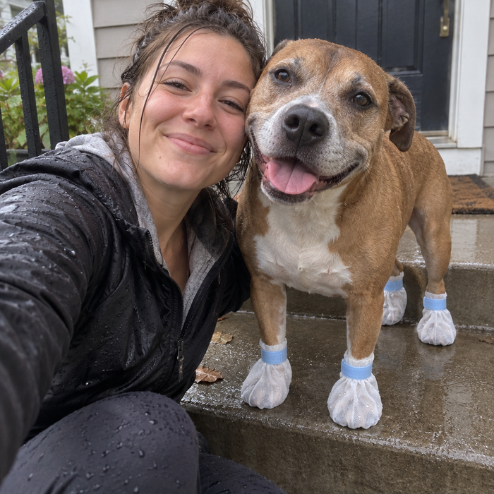 A beagle and its owner after a wet walk