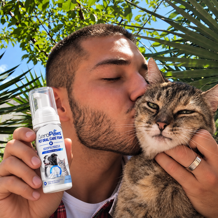 A cat and its owner