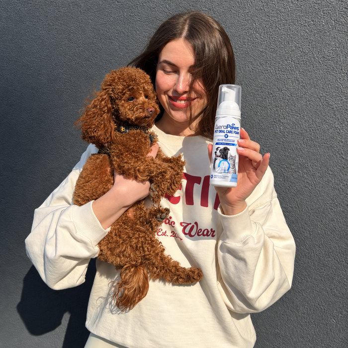 A poodle puppy and AeroPaws foam
