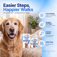 AeroPaws® Hip & Joint Chews for Dogs – Glucosamine + Chondroitin, 80 Chews