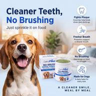AeroPaws® No-Brush Dental Powder for Dogs – Enzymes + Probiotics, 150 g