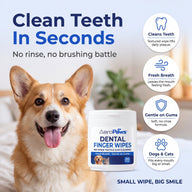 AeroPaws® Dental Finger Wipes for Dogs & Cats – No-Rinse, 20 Ct