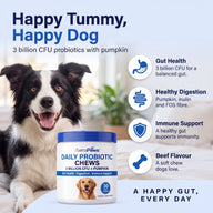 AeroPaws® Daily Probiotic Chews for Dogs – 3 Billion CFU, Pumpkin, 30 Chews