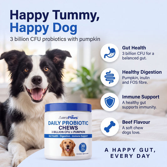 AeroPaws Daily Probiotic Chews tub of 30, 3 billion CFU probiotic chews for dogs with pumpkin