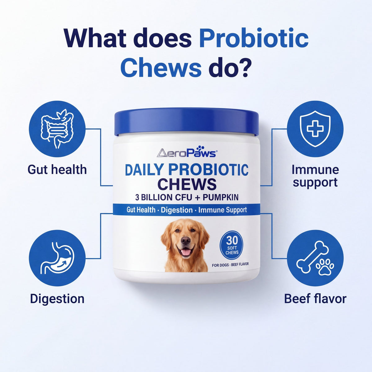 What Probiotic Chews do: gut health, digestion, immune support, beef flavour infographic
