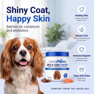 AeroPaws® Skin & Coat Chews for Dogs – Salmon Oil, 120 Soft Chews