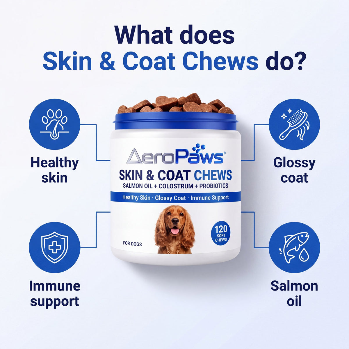 What Skin & Coat Chews do: healthy skin, glossy coat, immune support, salmon oil infographic
