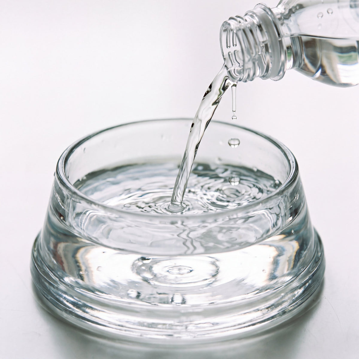 Clear water poured into a glass pet water bowl