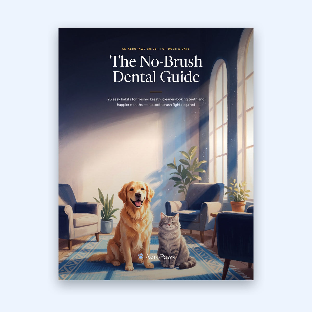 The No-Brush Dental Guide e-book cover