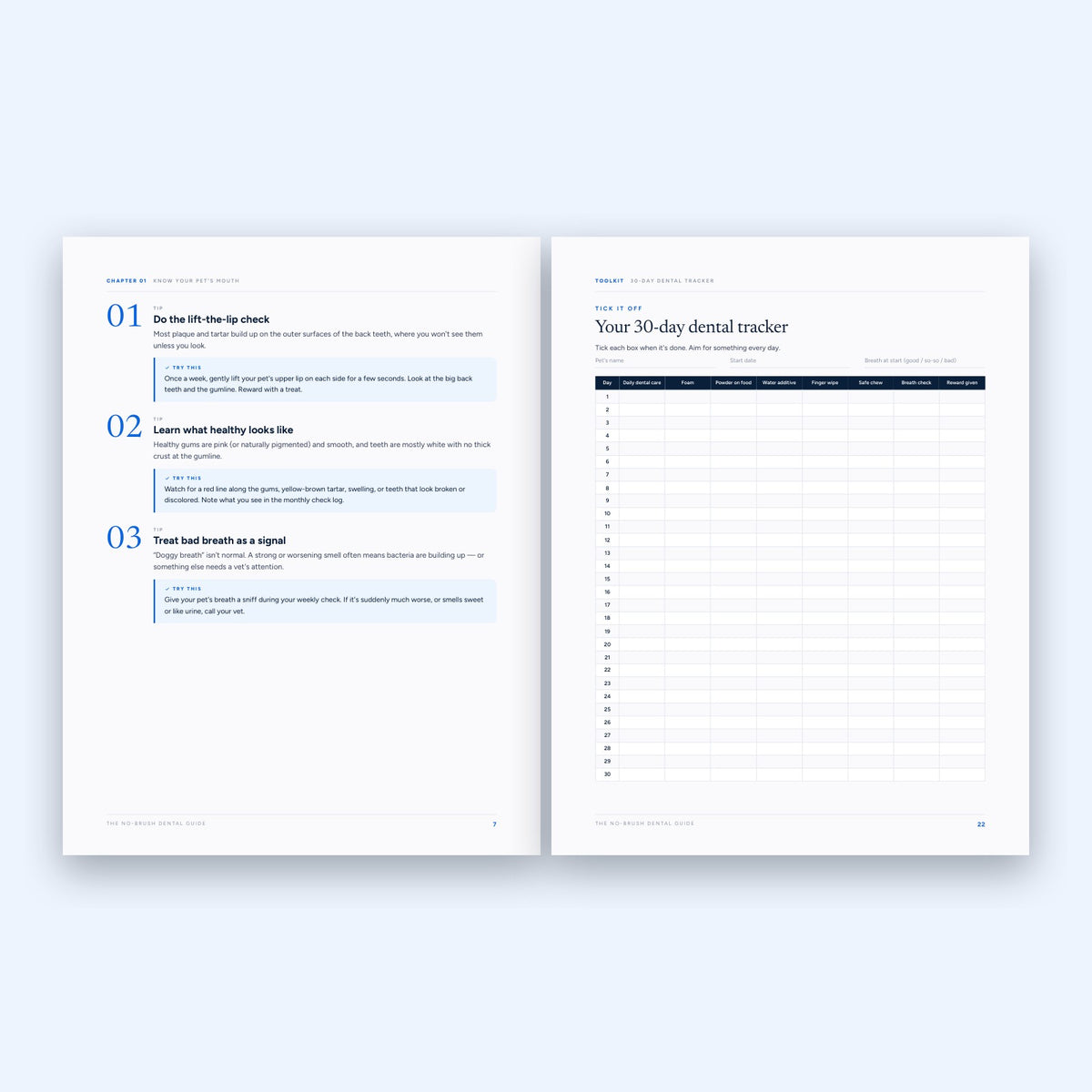 Inside The No-Brush Dental Guide: habits and tracker pages