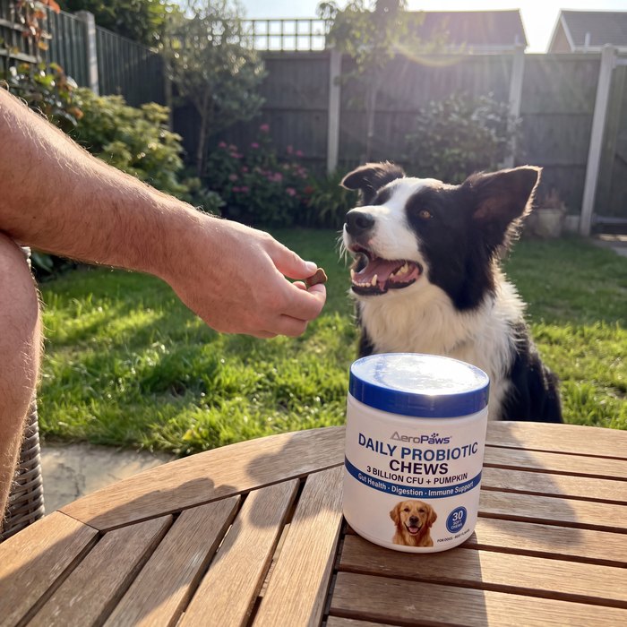 Daily Probiotic Chews in daily use